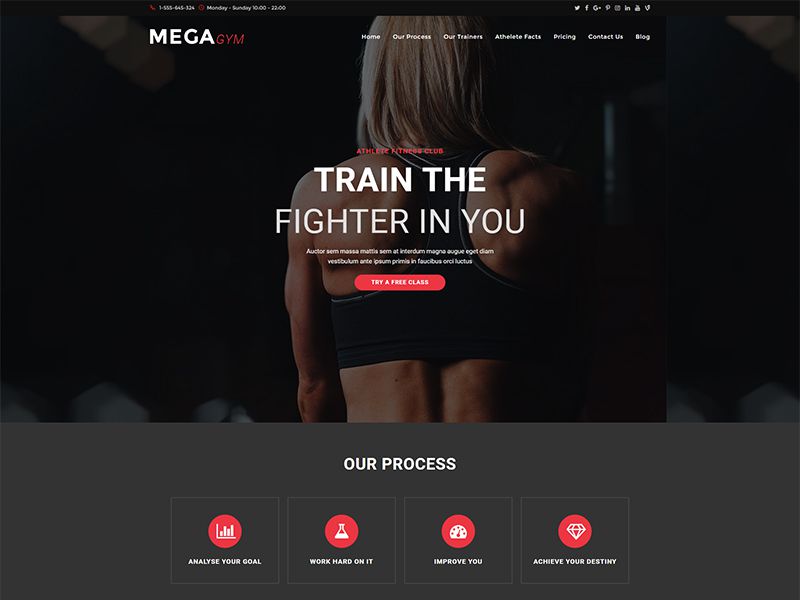 Megagym – 运动户外模板WordPress主题