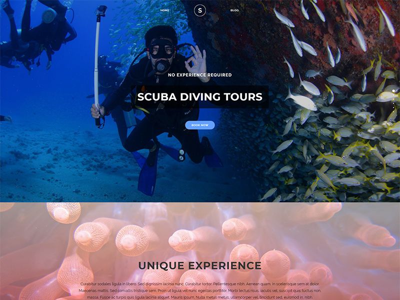 Scuba – 运动户外模板WordPress主题